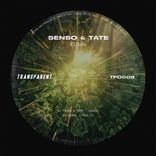 Artwork for "Vizual"