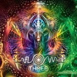 Portada para "Flow Three"