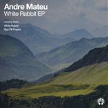 Artwork for "White Rabbit"