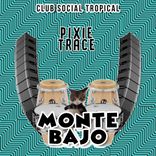 Portada para "Monte Bajo"