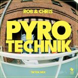 Portada para "Pyrotechnik"