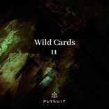 Artwork for "Wild Cards 11"