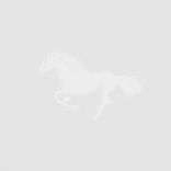 Artwork für "White Horse"