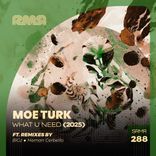 Artwork for "What U Need (2025)"