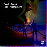 Artwork voor "Feel This Moment"