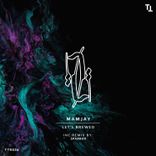 Portada para "Let's Brewed"