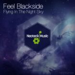 Flying in the Night Sky