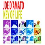 Artwork for "Key Of Life"