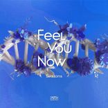 Artwork for "Feel You Now"