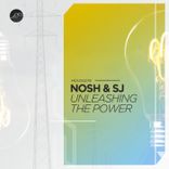 Artwork for "Unleashing the Power"