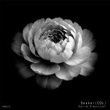 Artwork for "Sentido Dimensional"