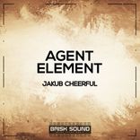 Artwork voor "Agent / Element"