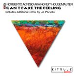 Artwork für "Can't fake the feeling"