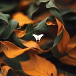 Artwork for "Betrayal (The Remixes)"