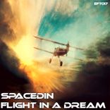 Artwork for "Flight in a Dream"