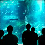 Artwork voor "Aquarius"