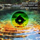 Artwork voor "Just Say You Want Me"