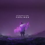 Artwork voor "Feelings"