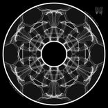 Artwork voor "The Thin Wires System"