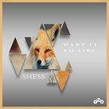 Artwork for "Want It / No Lies"