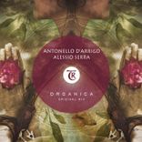 Artwork voor "Organica"