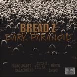 Artwork voor "Dark Paranoid"