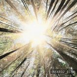 Artwork for "ASK032 EP"