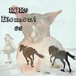 Portada para "Element 88"