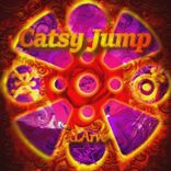 Artwork voor "Catsy Jump"