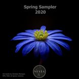 Artwork für "Spring Sampler 2020"