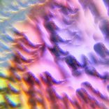 For est Luminescence