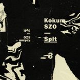 Artwork for "Splt"