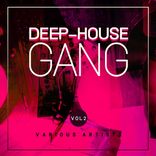 Artwork für "Deep-House Gang, Vol. 2"