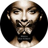 Artwork voor "Old Forest"