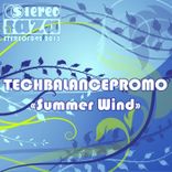 Artwork für "Summer Wind"