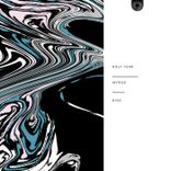 Portada para "Holy Year"