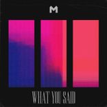 Artwork voor "What You Said"