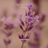 Artwork for "Say You Say Me"