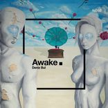 Portada para "Awake"