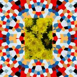 Forest Swords (Vip Edit)