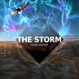 Artwork voor "The Storm"