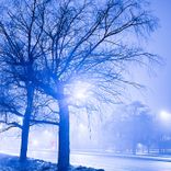 Artwork für "Better This Way"