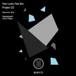 Artwork für "Project 22"