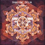 Artwork voor "Ravevolver"