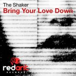 Artwork voor "Bring Your Love Down"