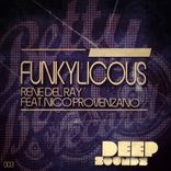 Artwork voor "Funkylicous"
