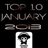 Artwork voor "Top 10 January 2013"