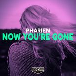 Artwork voor "Now You're Gone"