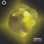 Artwork for "Pura Vida"