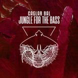 Artwork for "Jungle for the Bass"